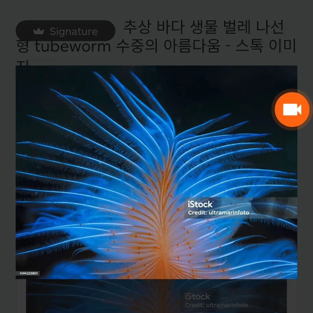 PoorWiper4634의 학교 과학시간 배추흰나비 RPG