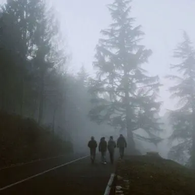 Profile image of Zombie apocalypse Boys