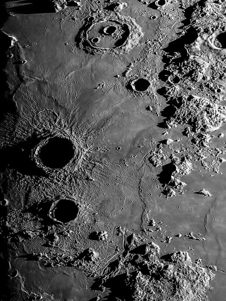 T.o의 달은 동글한 달 일까?