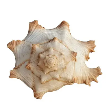 Profile image of 을화영