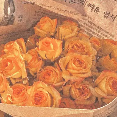 Profile image of 박 덕개