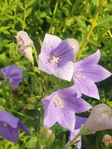 whitter의 천 년을 건너 다시 만난 너