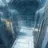 アルビノ保護施設