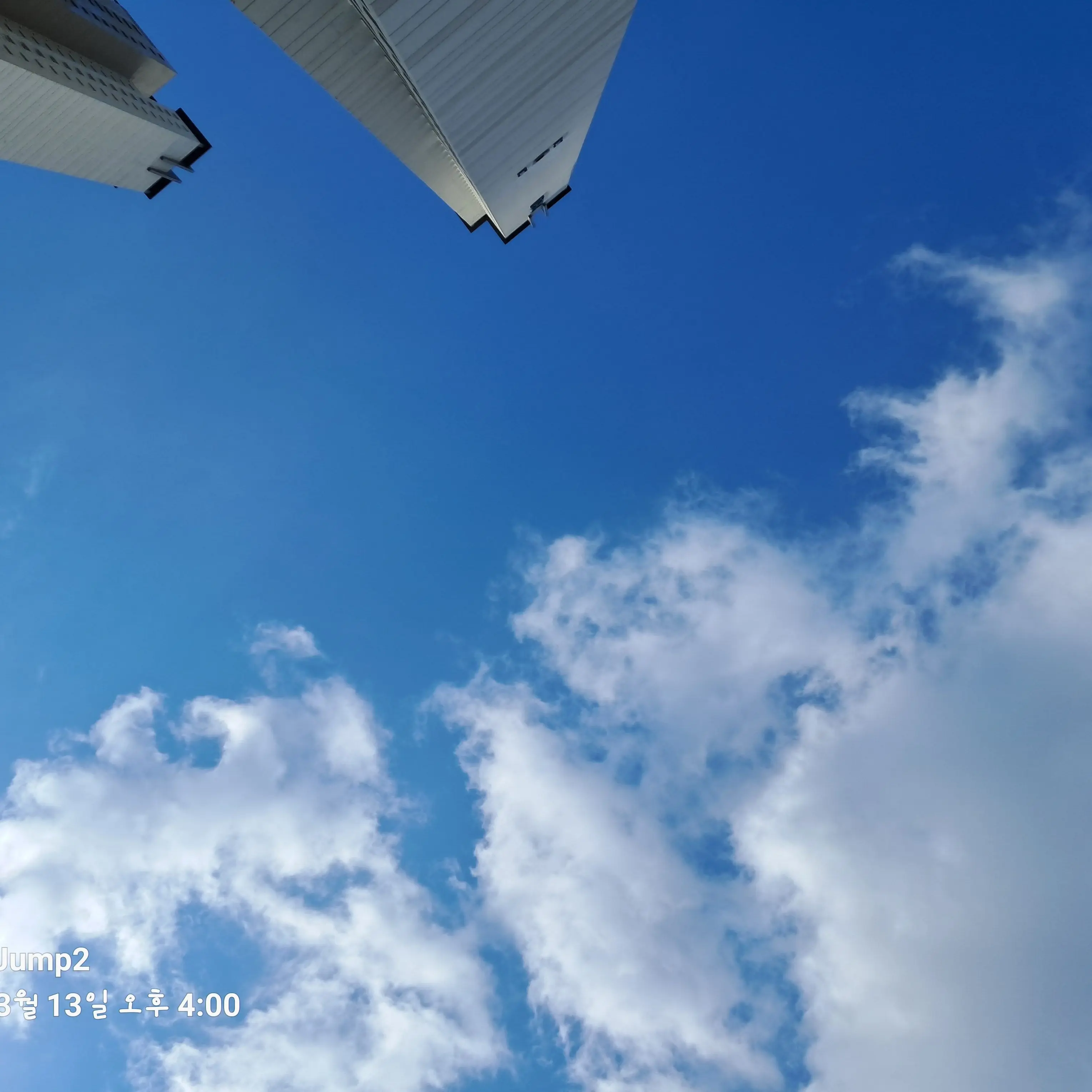 SafePaint7755의 꿈의악마