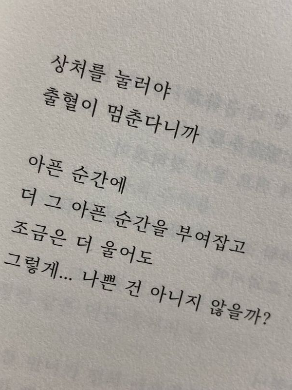황혼 선각자 대표 이미지