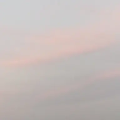 Profile image of 설윤아