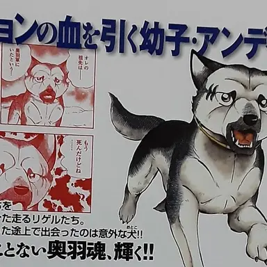 Profile image of アンディ