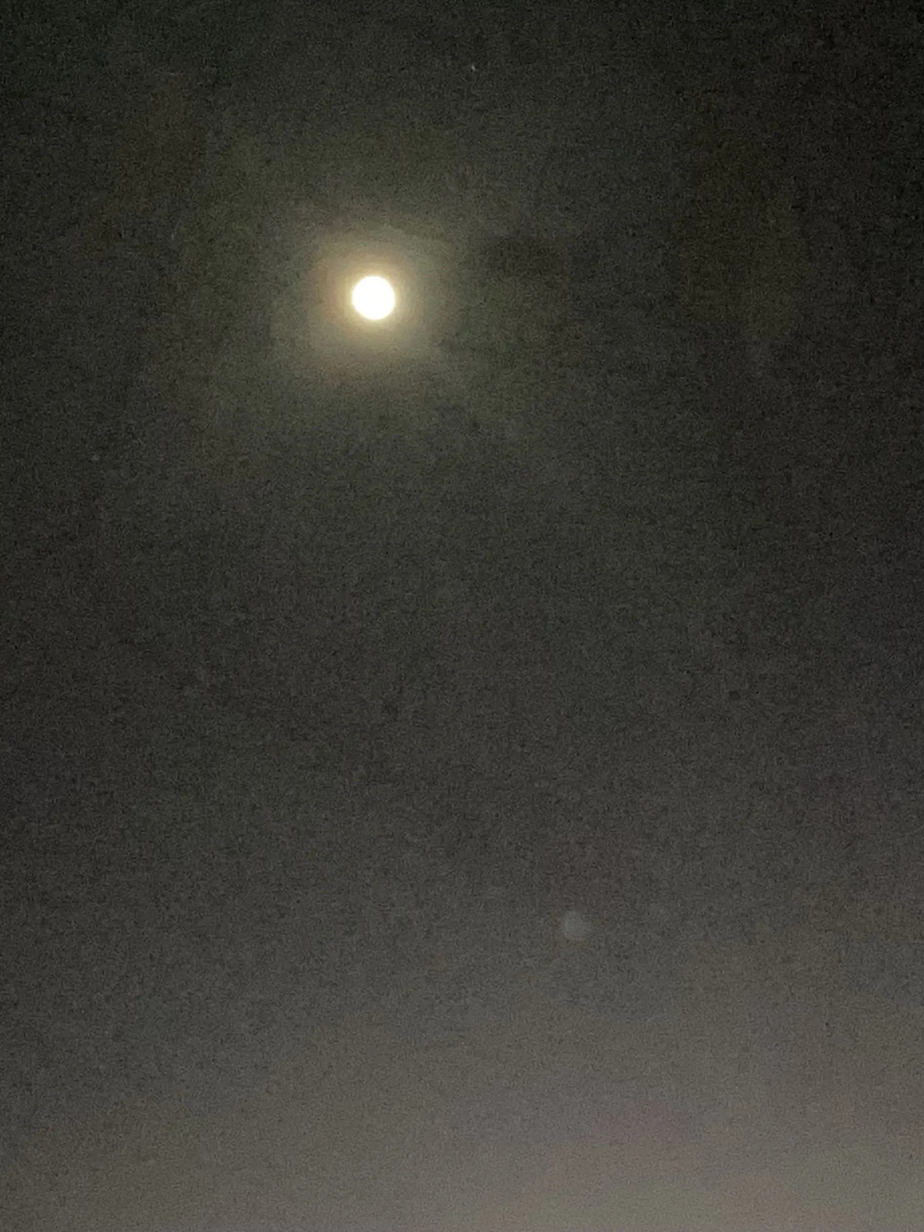 QuickFruit8907의 貴方の兄は有名人！