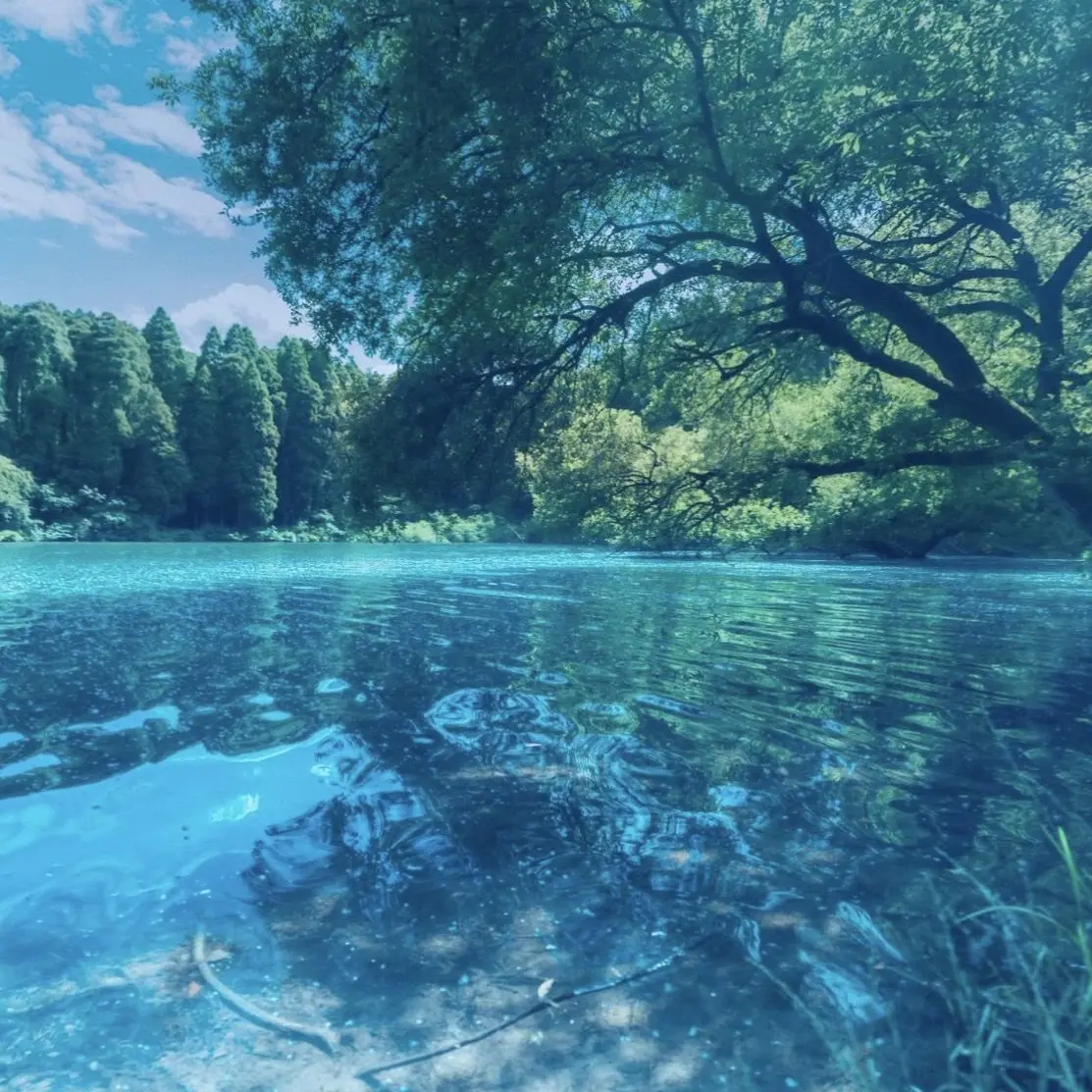 HumidSkate1606의 意外な姿