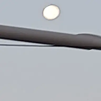 Profile image of 잠뜰