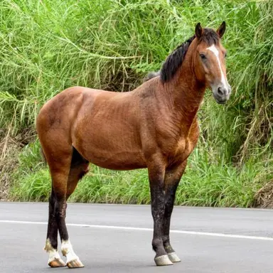 Profile image of Jean