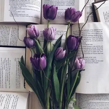 Profile image of 황수현