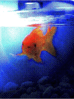 .---의 ­