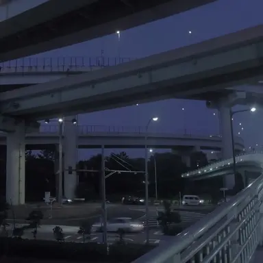 Profile image of 白津野 翔
