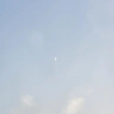 Profile image of るな