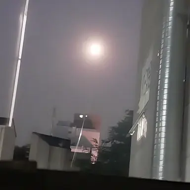 Profile image of 김도령