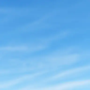 Profile image of 城銀醍醐