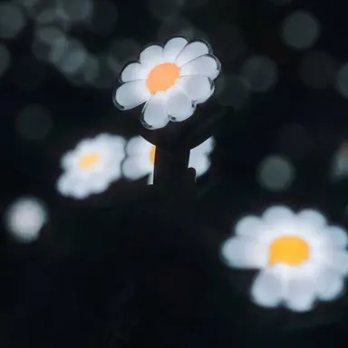 Profile image of 권지용