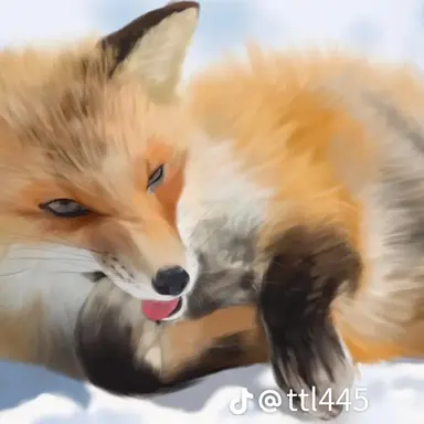 Profile image of 이스카 키라이