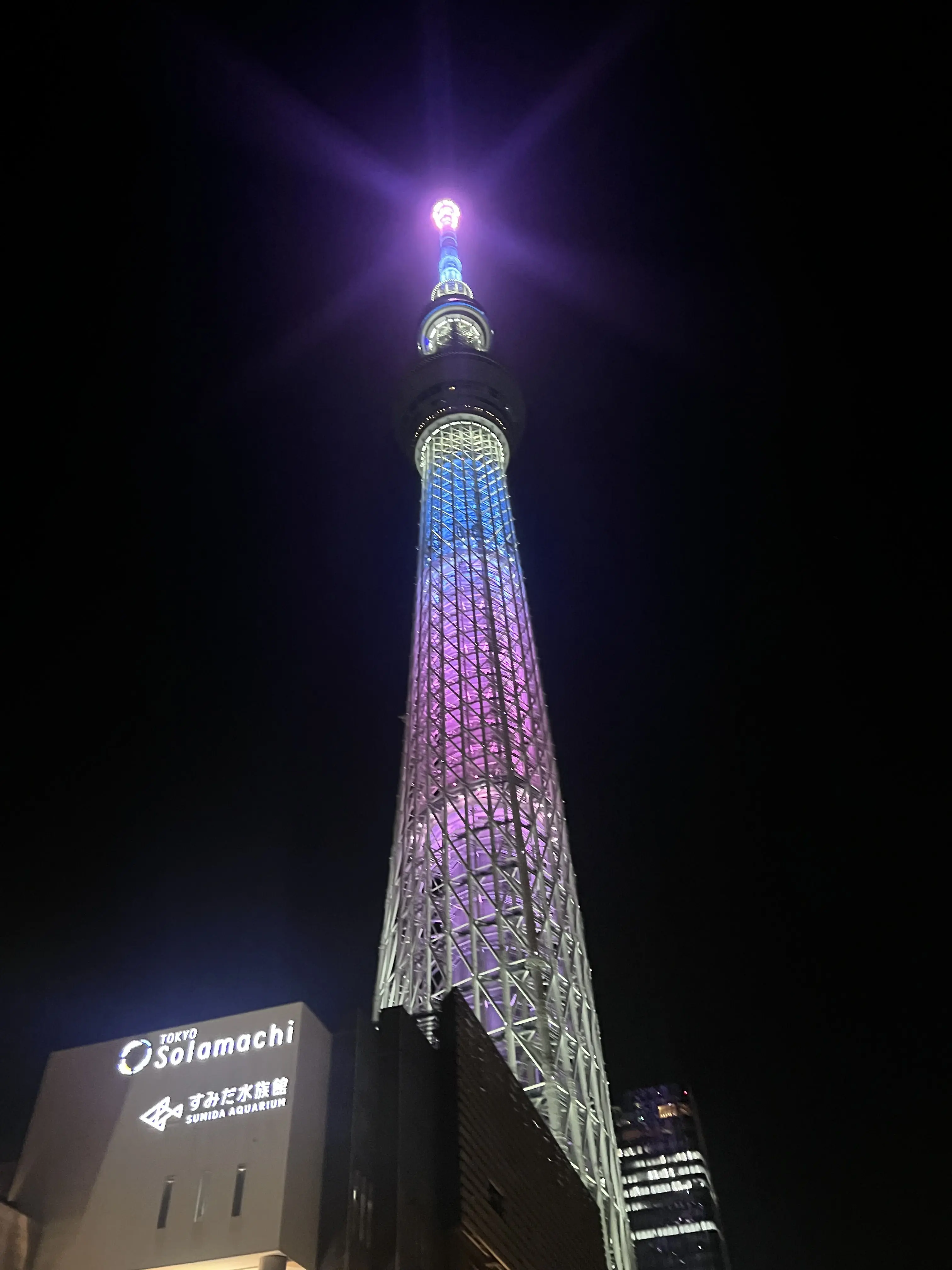 Shinazugawa_sanemi의 JCC문제아 4인방 + 늑대