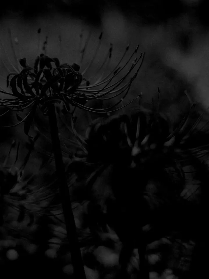 LocalWage7959의 ▂에서 (제발)   ̶살̶아̶남̶자̶