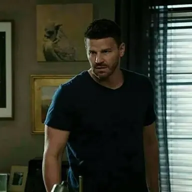 Profile image of Seeley Booth