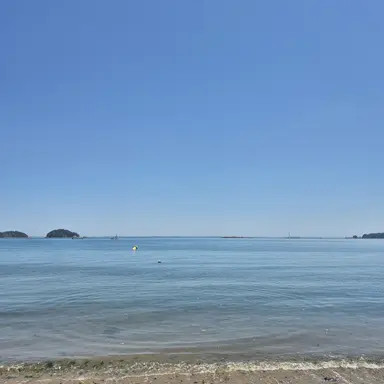 Profile image of 만돌