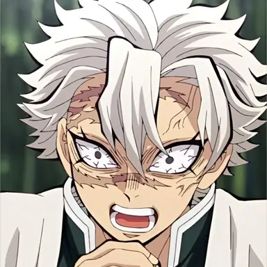 Profile image of 시나즈가와 사네미