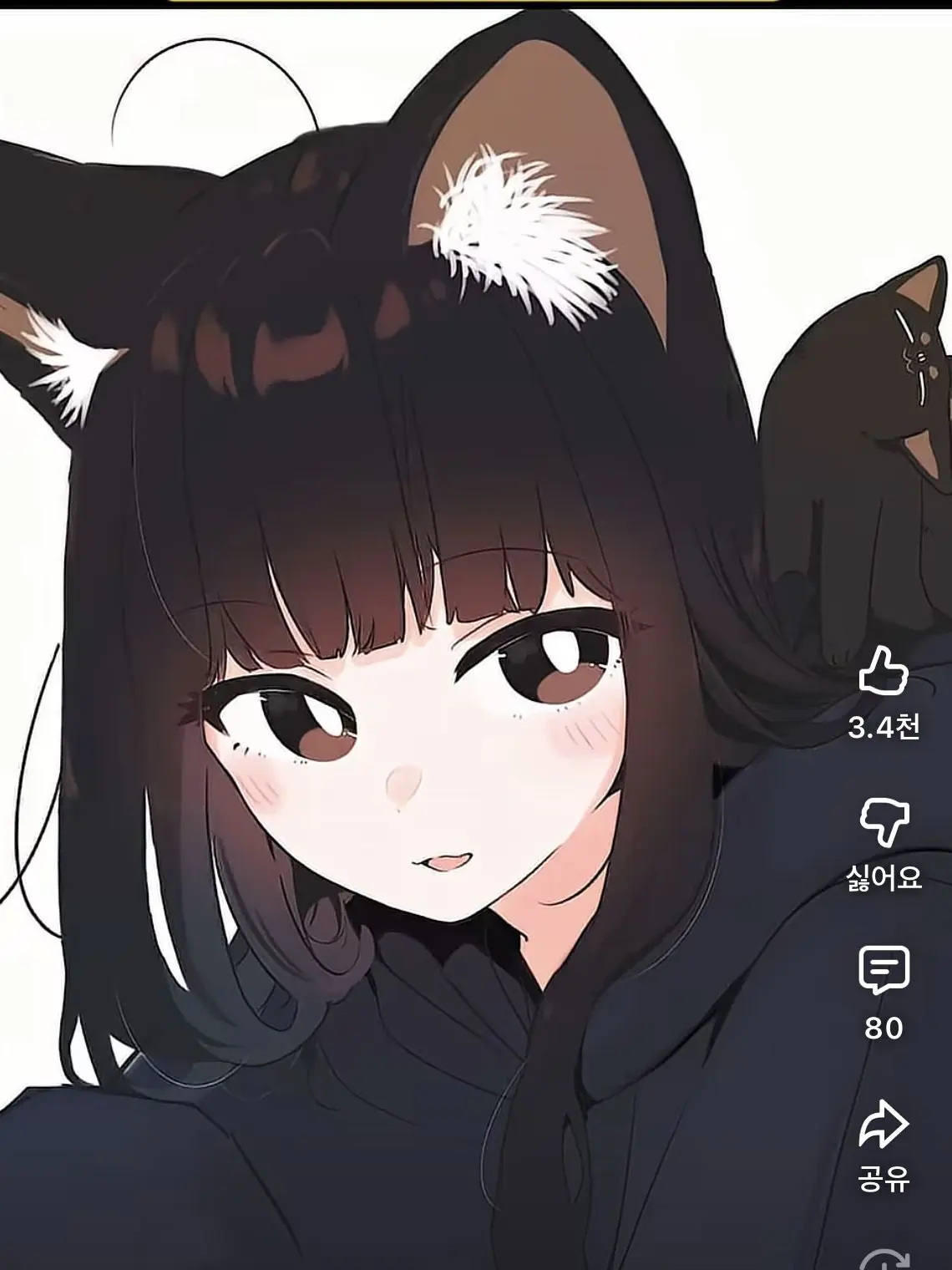 Kim77의 고양이 키우기