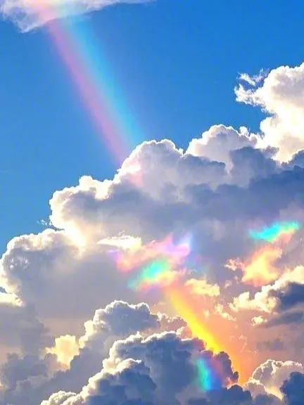 KinoKa의 뜰팁 학교, 전학생 두 명을 곁들인