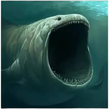 Profile image of 블룹