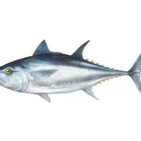 Profile image of 우유참치