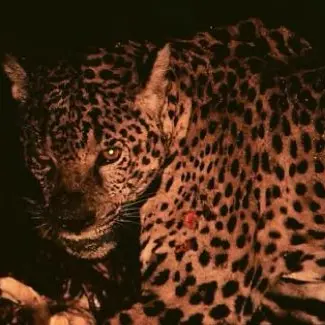 Profile image of Billy