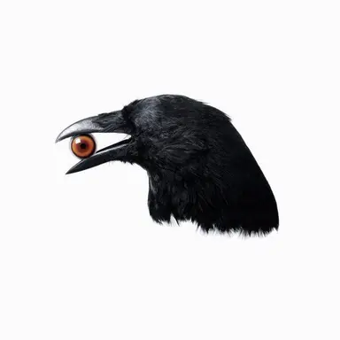 Profile image of 아르바니 데라