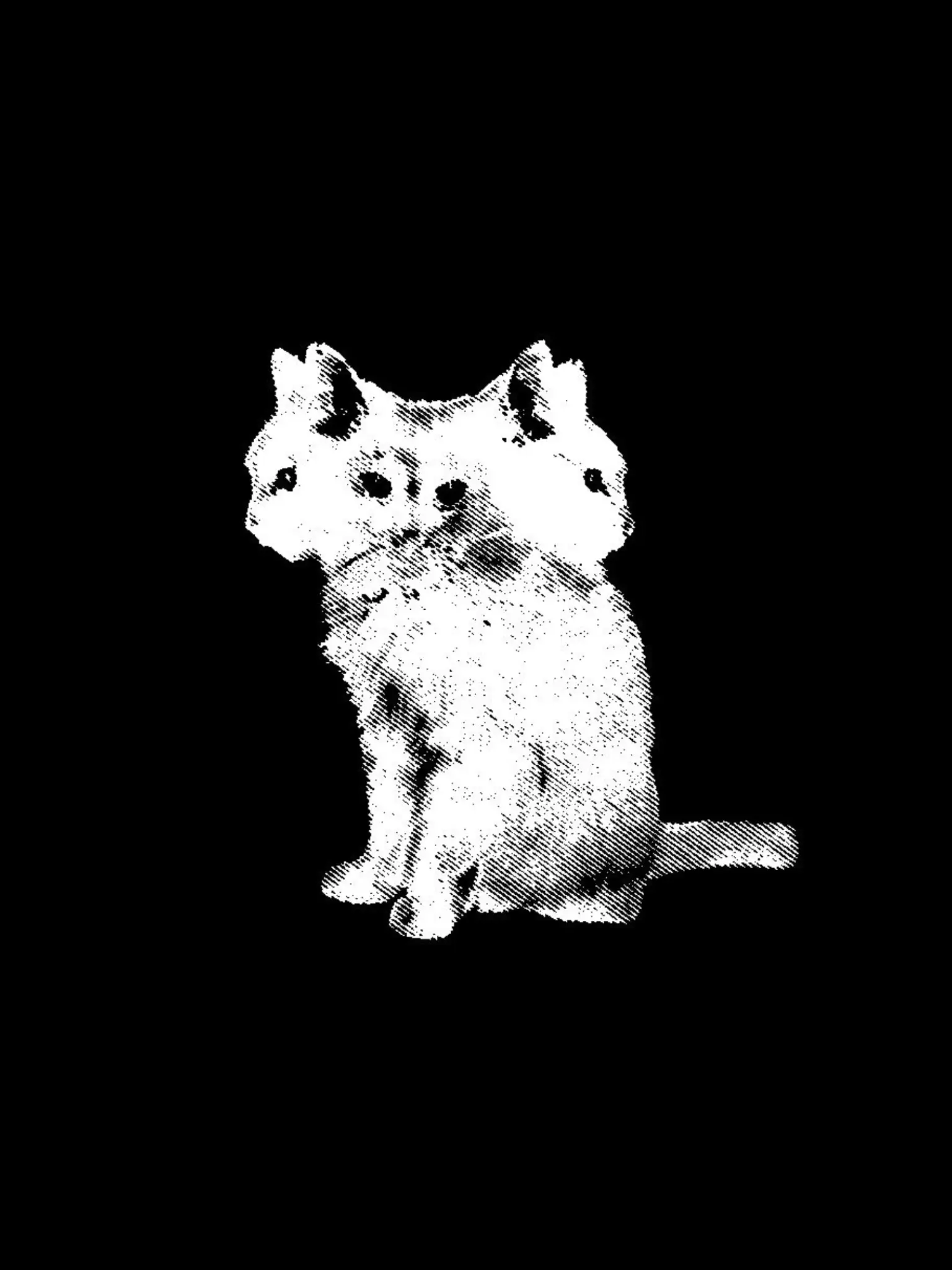 6_9의 ⌈Schrödinger's Cat⌋