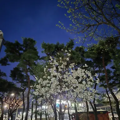 Profile image of 파크모