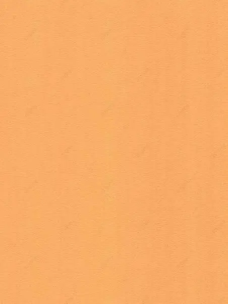 SaltCaramel의 철없는 아가씨와 철벽 경호원.