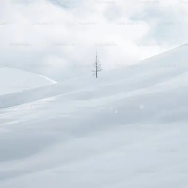 Profile image of 우즈이 텐겐