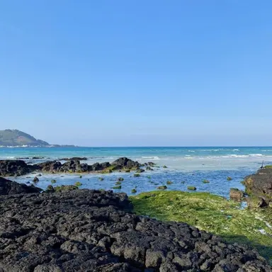 Profile image of 토미오카 기유