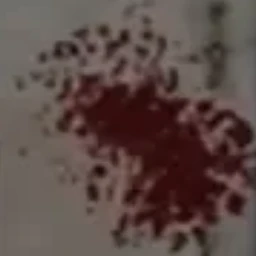 덕개