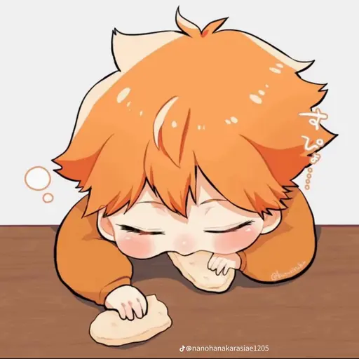 HappyThigh8472의 히나타쇼요
