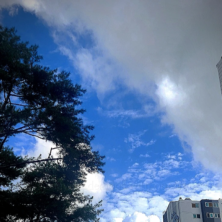 케데헌 디코방