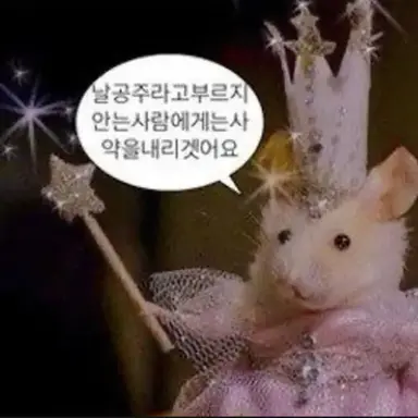 Profile image of 김여우