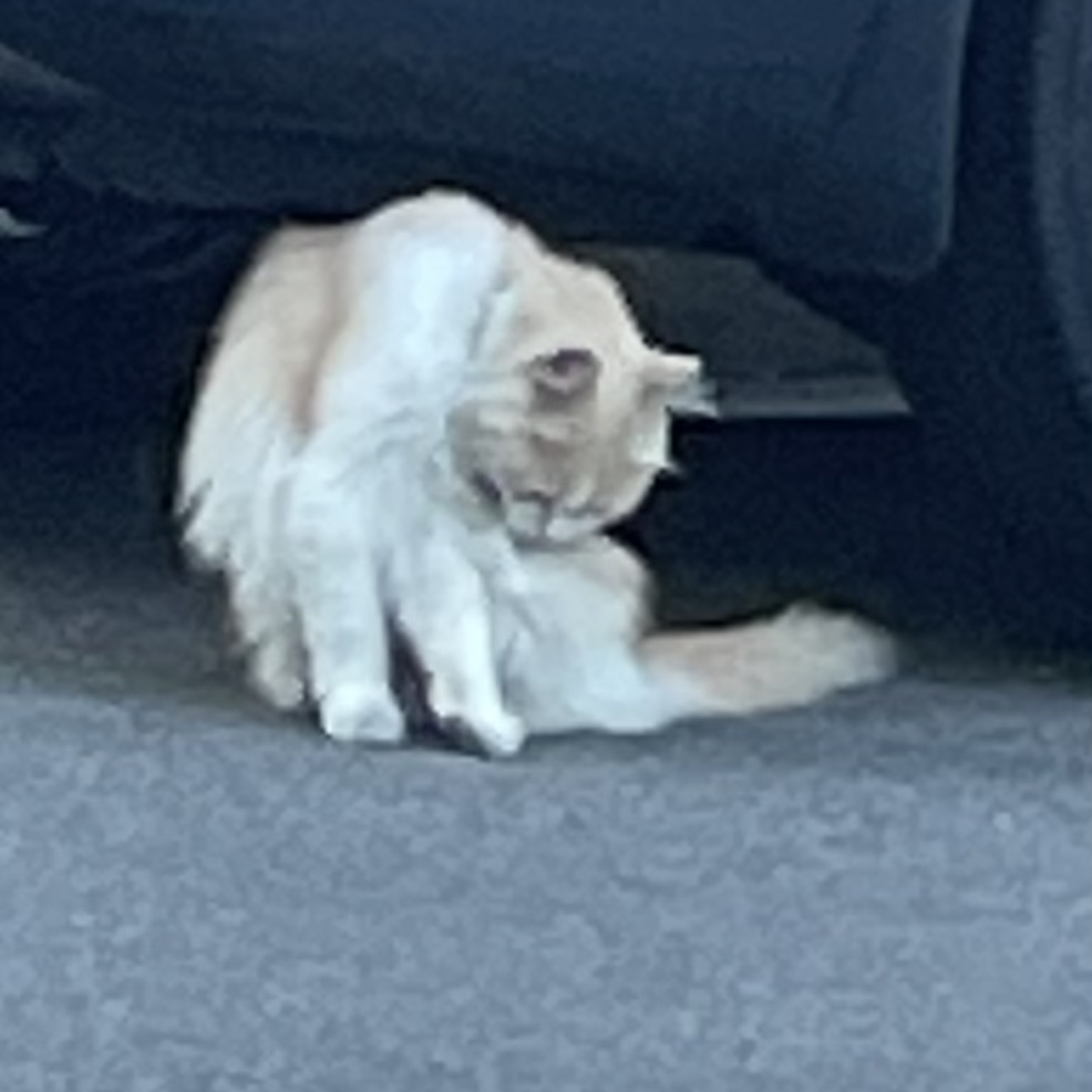김민재 대표 이미지