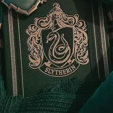 Profile image of 마테오 리들