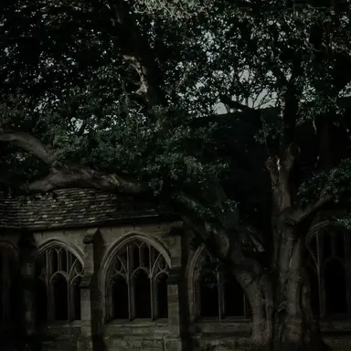 Profile image of 에반 로지어