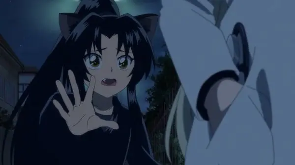 Profile image of 石蕗丸