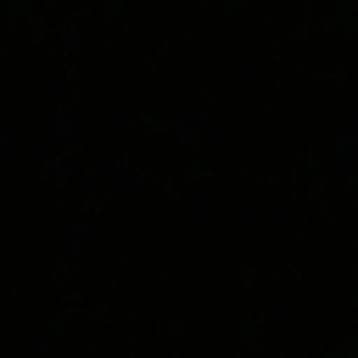 윤정핝