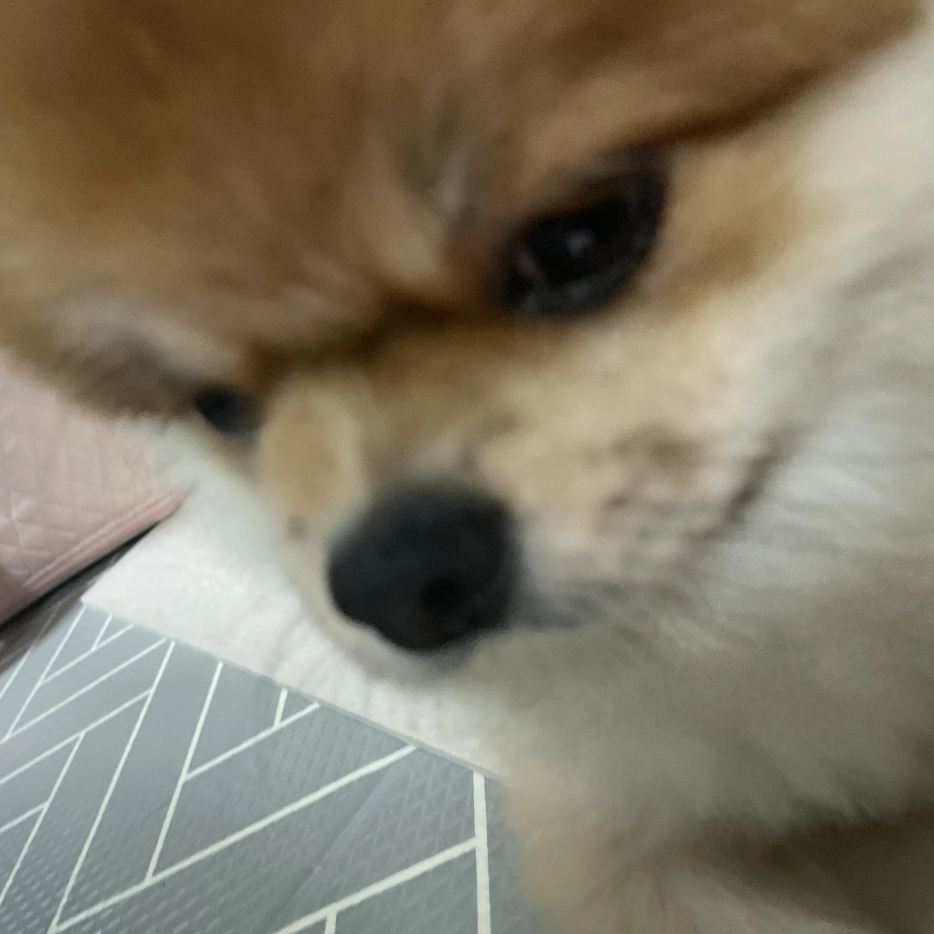 성별 바뀌는 물약