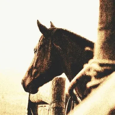 Profile image of 에단 워커